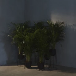 Menu | Medium Wire Planter Base 404 | Various Colours 14 Menu | Medium Wire Planter Base 404 | Various Colours