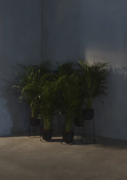 Menu | Medium Wire Planter Base 404 | Various Colours 8 Menu | Medium Wire Planter Base 404 | Various Colours