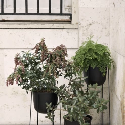 Menu | Wire Planter Pot | Various Colours 7 Menu | Wire Planter Pot | Various Colours