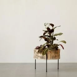 Menu Umanoff Planter Medium 9 Menu Umanoff Planter Medium