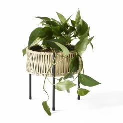 Menu Umanoff Black Steel & Rattan Planter - 27cm 9 Menu Umanoff Black Steel & Rattan Planter - 27cm