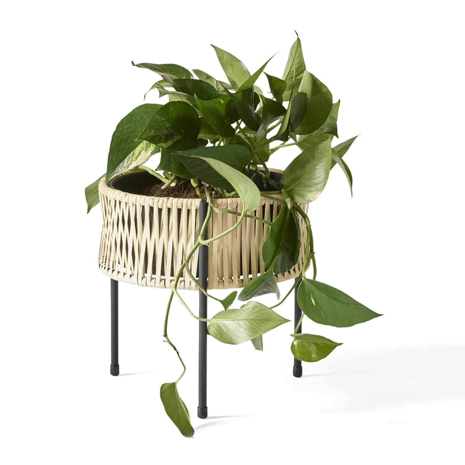 Menu Umanoff Black Steel & Rattan Planter - 27cm 6 Menu Umanoff Black Steel & Rattan Planter - 27cm