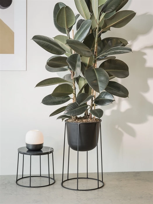 Menu Large Multipurpose Wire Base 5 Menu Large Multipurpose Wire Base