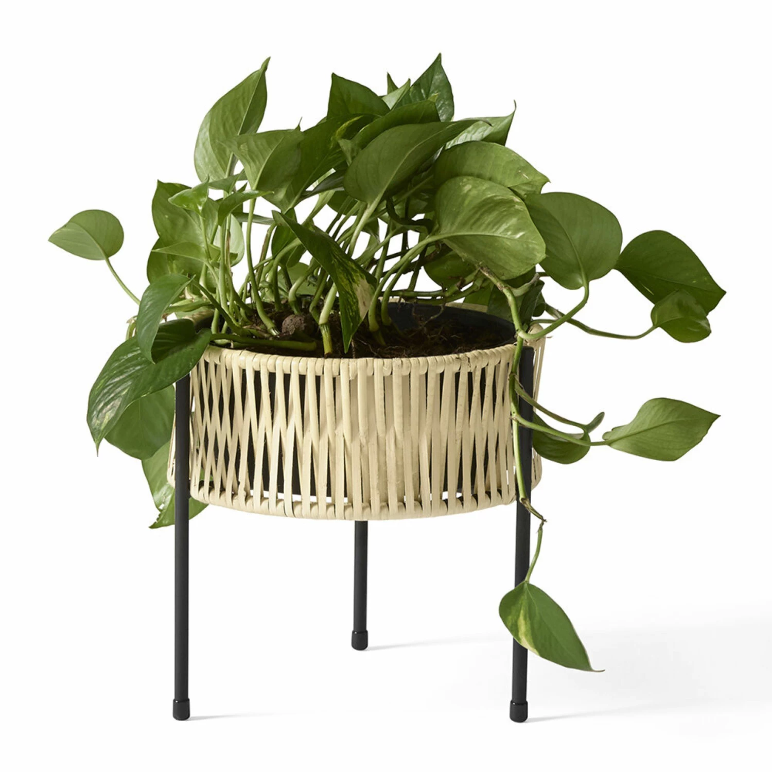 Menu Umanoff Black Steel & Rattan Planter - 27cm 4 Menu Umanoff Black Steel & Rattan Planter - 27cm