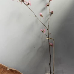 Menu Stem Vase Polished Brass 11 Menu Stem Vase Polished Brass