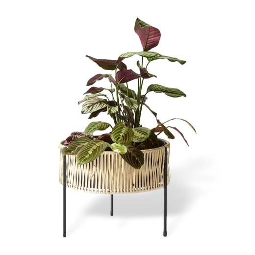 Menu Umanoff Planter Medium 3 Menu Umanoff Planter Medium