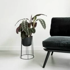 Menu Medium Black Wire Stand & Plant Pot 7 Menu Medium Black Wire Stand & Plant Pot