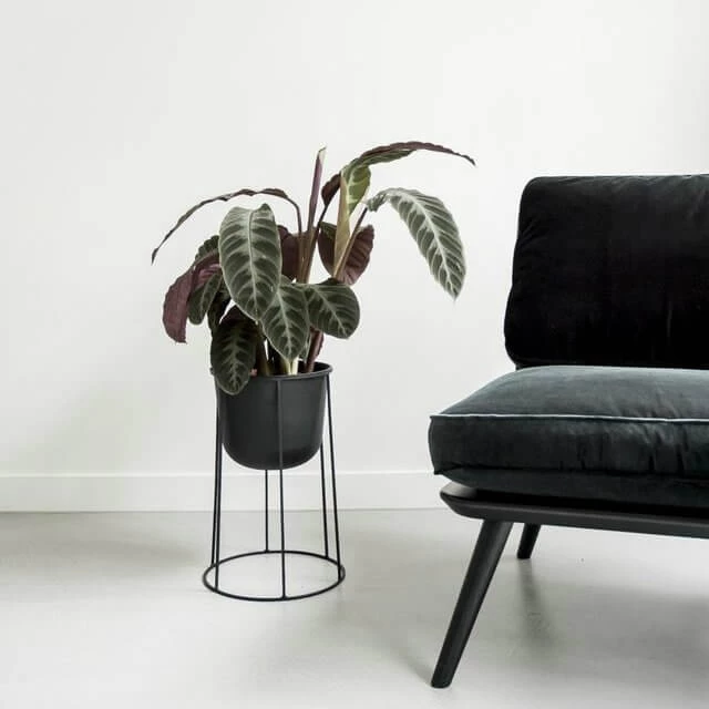 Menu Medium Black Wire Stand & Plant Pot 5 Menu Medium Black Wire Stand & Plant Pot