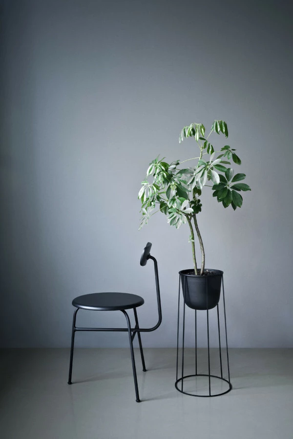 Menu Wire Base and Pot Olive Green 6 Menu Wire Base and Pot Olive Green