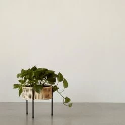 Menu Umanoff Planter Small