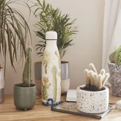 Chilly's 500ml Botanical Cacti Bottle