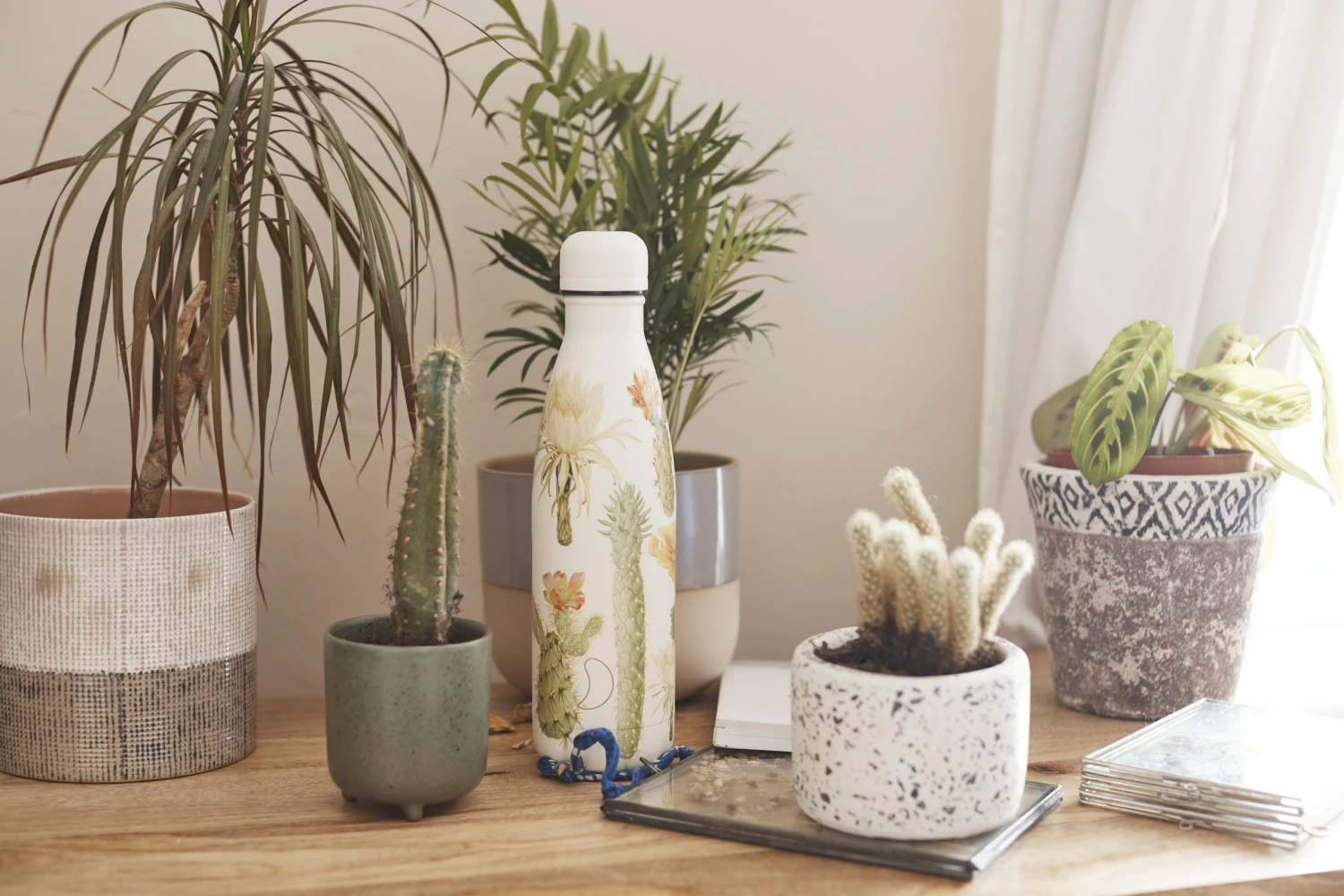 Chilly's 500ml Botanical Cacti Bottle 4 Chilly's 500ml Botanical Cacti Bottle